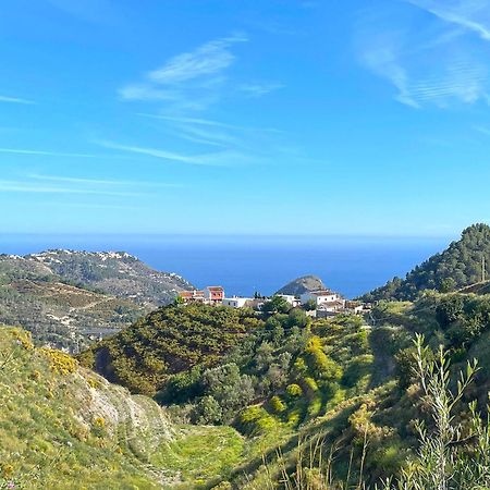 Villa Francisca Μάλαγα Εξωτερικό φωτογραφία