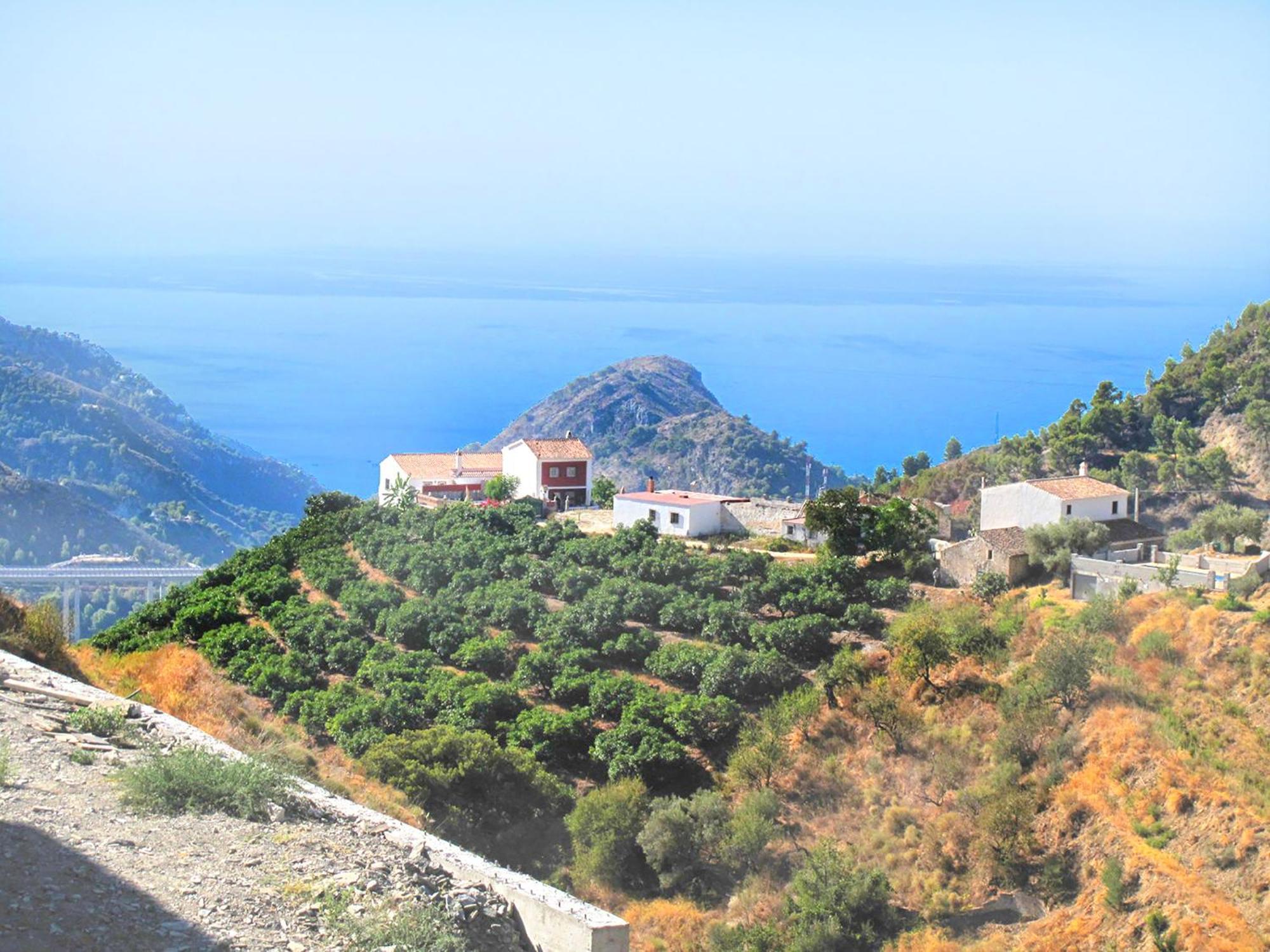 Villa Francisca Μάλαγα Εξωτερικό φωτογραφία