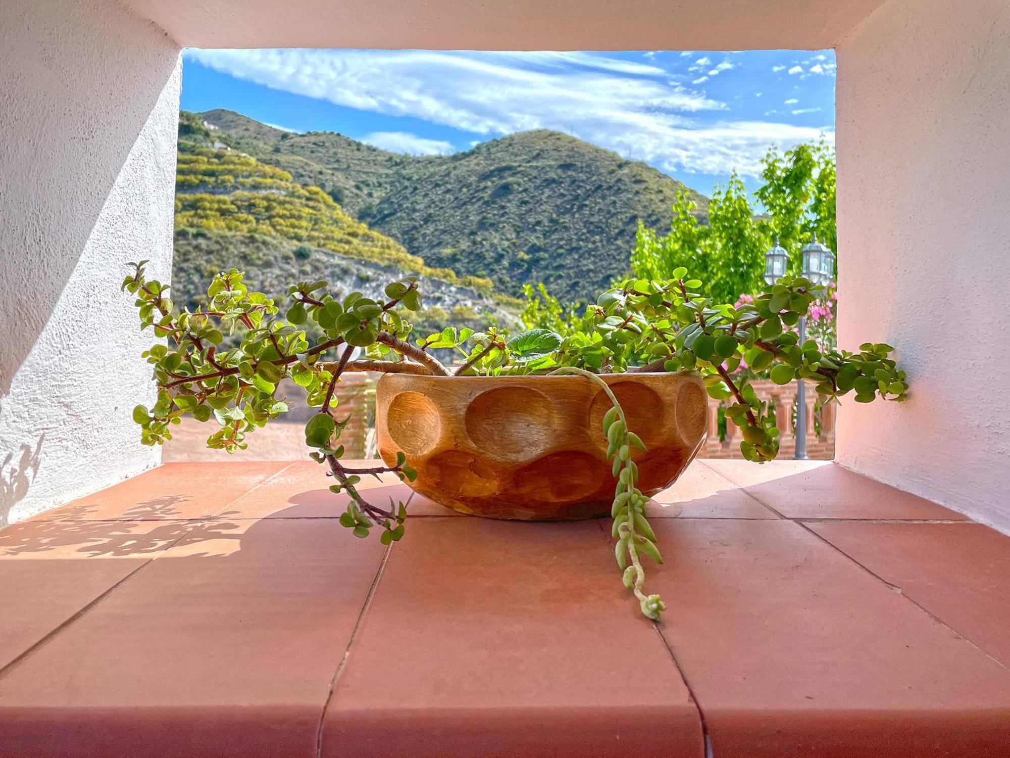 Villa Francisca Μάλαγα Εξωτερικό φωτογραφία