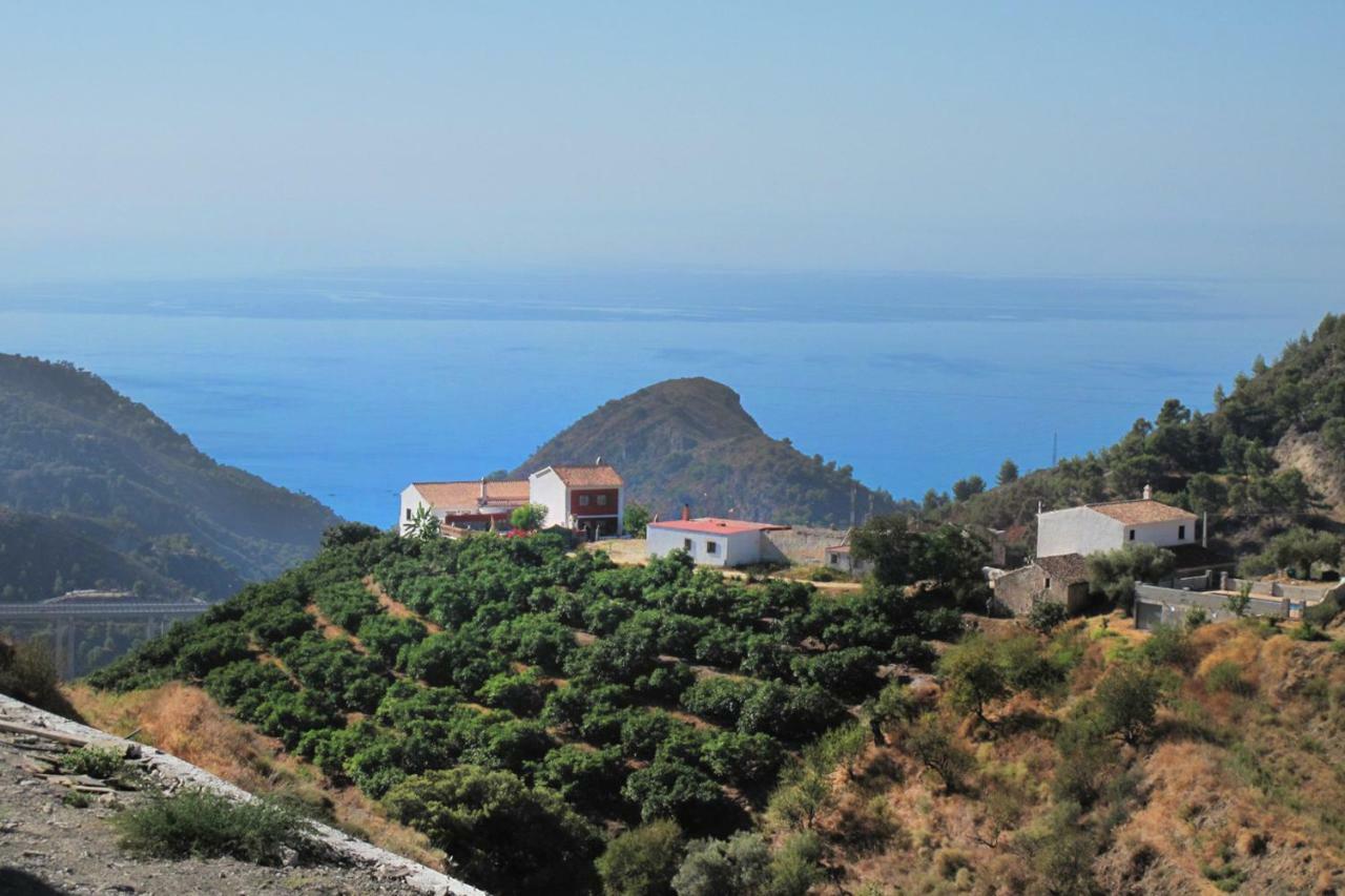 Villa Francisca Μάλαγα Εξωτερικό φωτογραφία